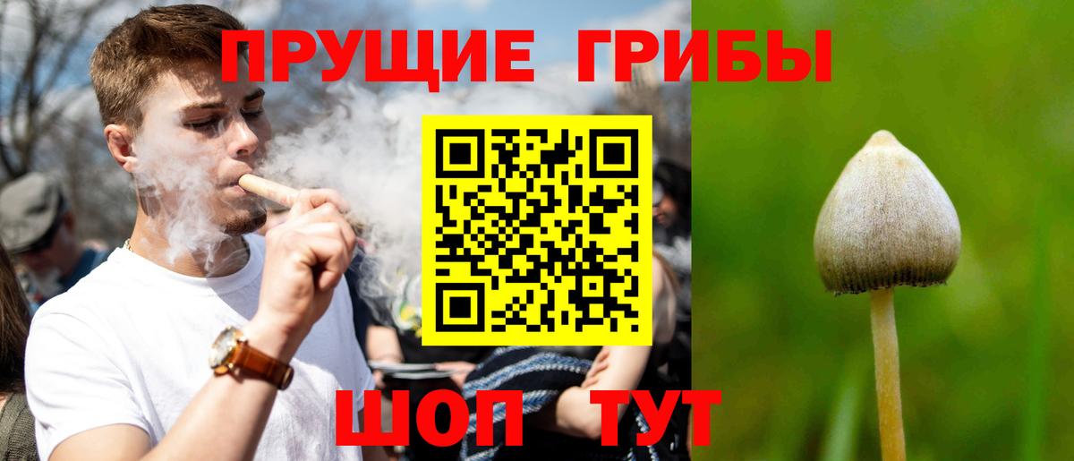 Пушкино  Псилоцибиновые грибы MAGIC MUSHROOMS  закладки  Вход с VPN 